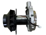 RAİNO 12 VOLT D2 FAN MOTORU